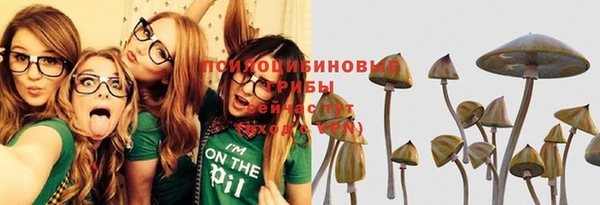 ГАЛЛЮЦИНОГЕННЫЕ ГРИБЫ Дмитровск