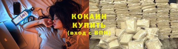 прущие грибы Горнозаводск