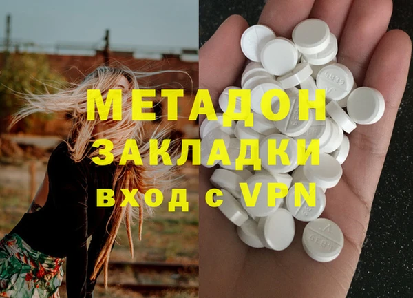 сатива Горняк