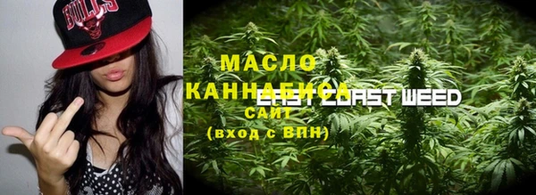 спайс Гусев