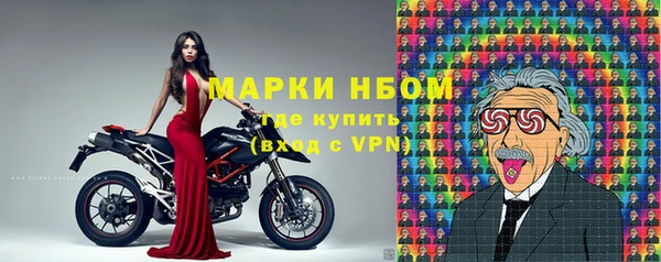 спайс Гусев