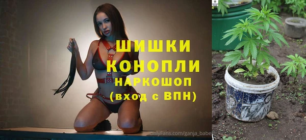 спайс Гусев